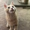carly_orwin